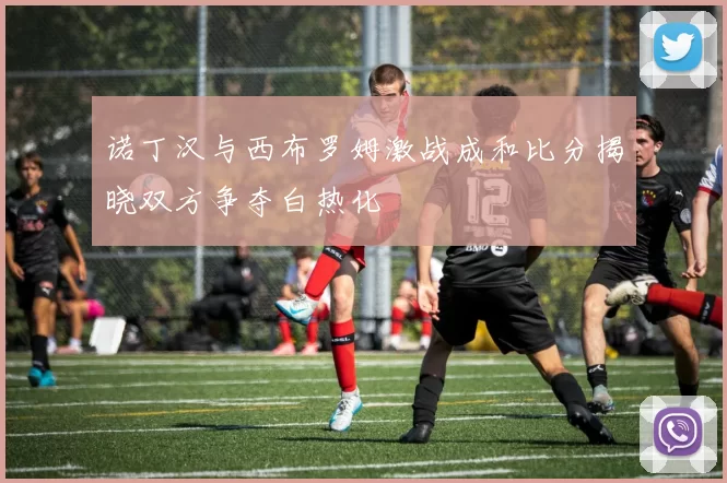 诺丁汉与西布罗姆激战成和比分揭晓双方争夺白热化