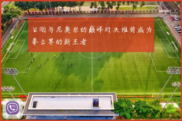 甘刚与尼奥尔的巅峰对决谁将成为拳击界的新王者