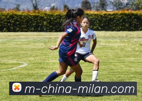米兰体育官网APP 封面图